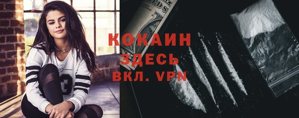 хмурый Аркадак
