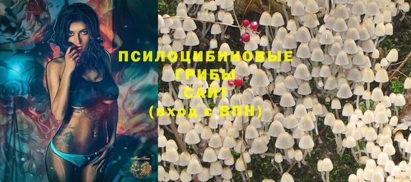 стафф Арсеньев