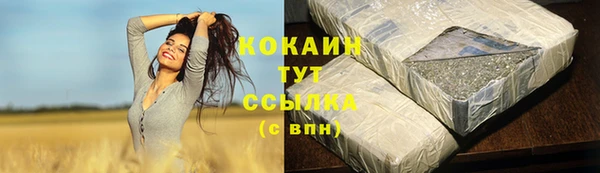 стафф Арсеньев