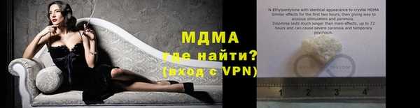 хмурый Аркадак