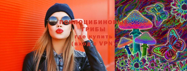 хмурый Аркадак