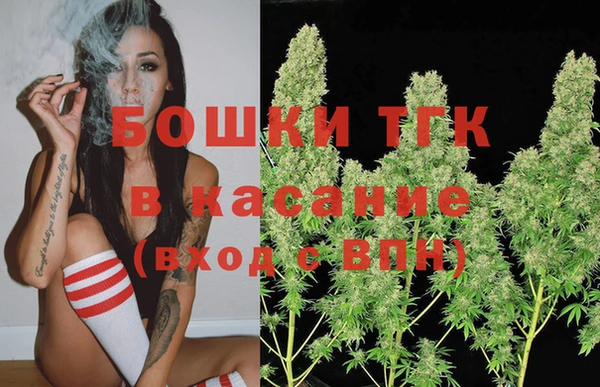 хмурый Аркадак