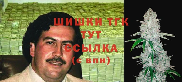 хмурый Аркадак