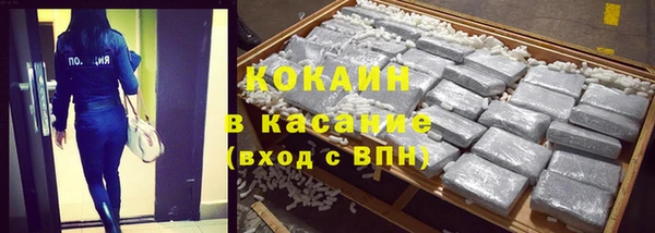 хмурый Аркадак
