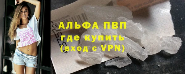 хмурый Аркадак