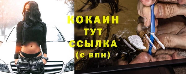 хмурый Аркадак